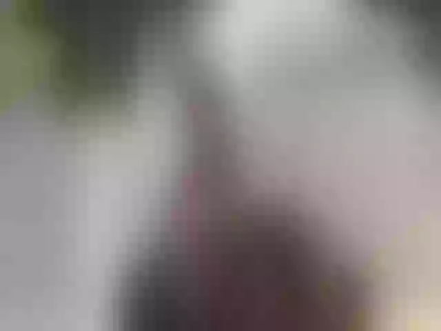 Live sex webcam photo for BlondeKhloe #261973861