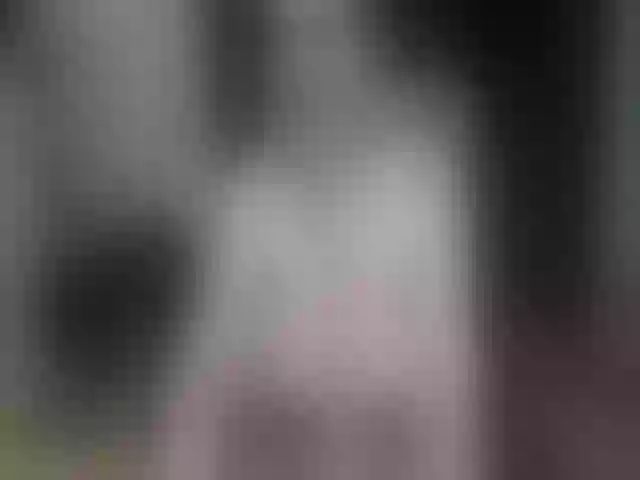 Live sex webcam photo for PlayfulSamira #263812058