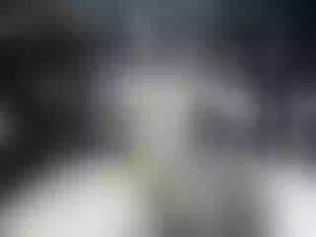 Live sex webcam photo for Evanelle #252975066