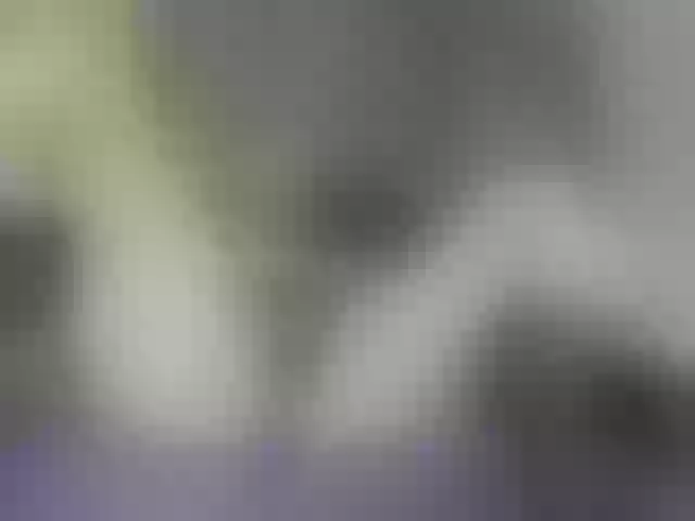 Live sex webcam photo for ego777me #287981557