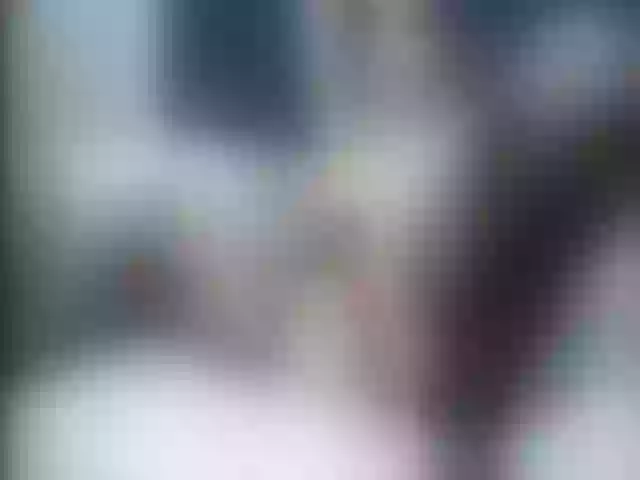 Live sex webcam photo for Ellaquality #257473131