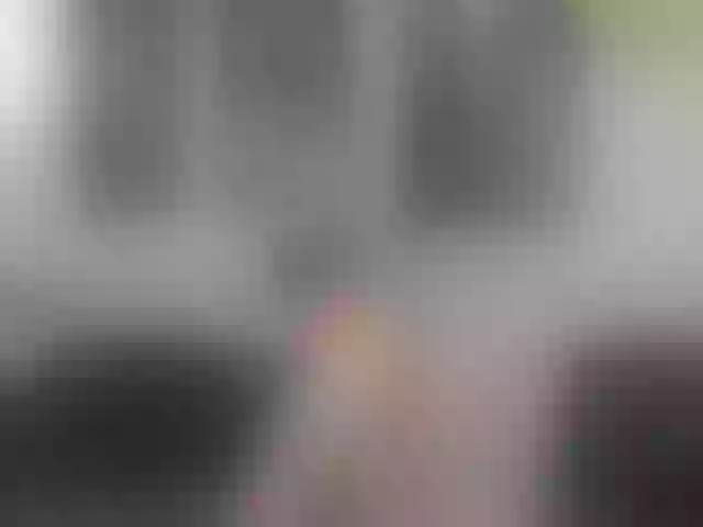 Live sex webcam photo for Ddboubou #254762682