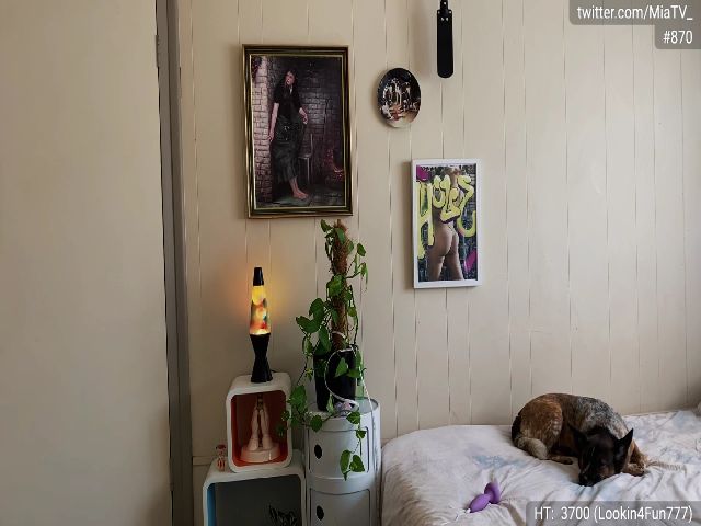 Live sex webcam photo for miatv #257958340