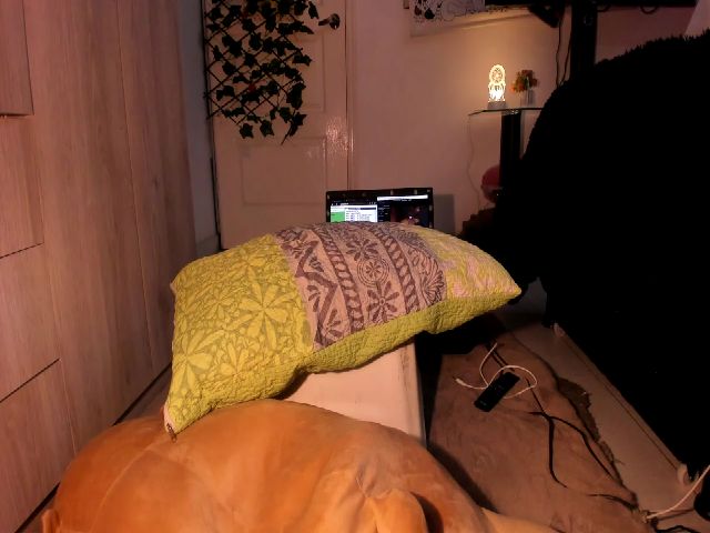 Live sex webcam photo for Sol_minoli #255529999