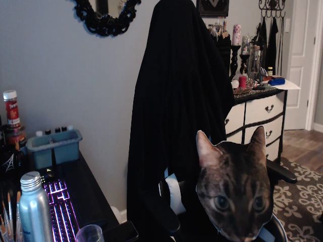 Live sex webcam photo for Painbaby #259069899