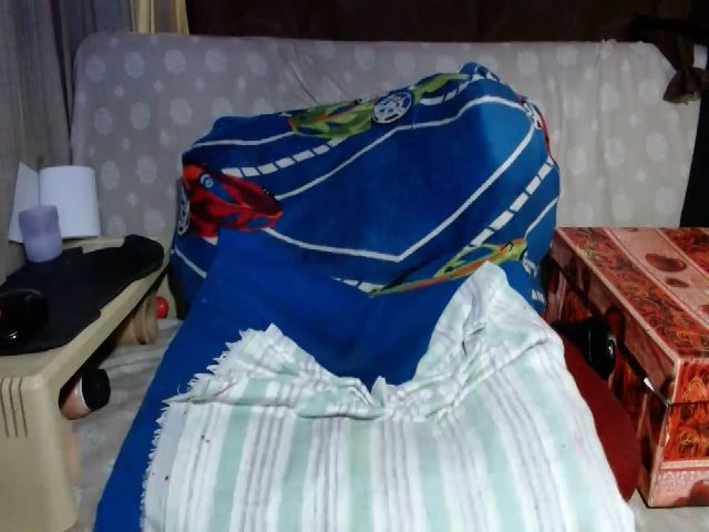 Live sex webcam photo for Carolinessex #254178318