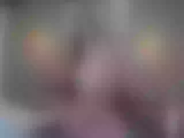 Live sex webcam photo for Miia_cox #255948422