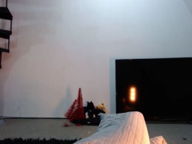 Live sex webcam photo for AmyKGreen #254731335