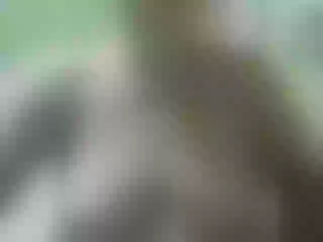 Live sex webcam photo for MulherBRRJ #241004917