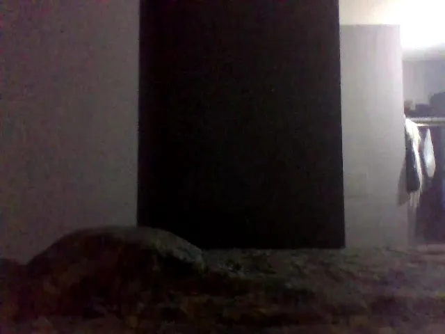 Live sex webcam photo for Oricle #259789024