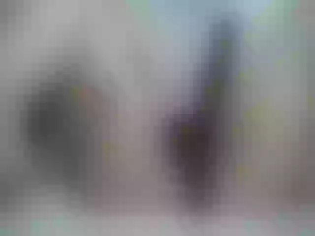 Live sex webcam photo for Girasolwalton #256333640
