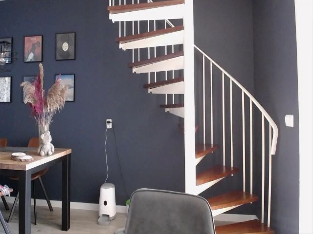 Live sex webcam photo for Bootysaur #264159889