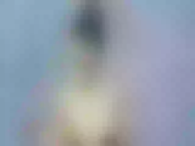 Live sex webcam photo for RubyFlame3 #256681118