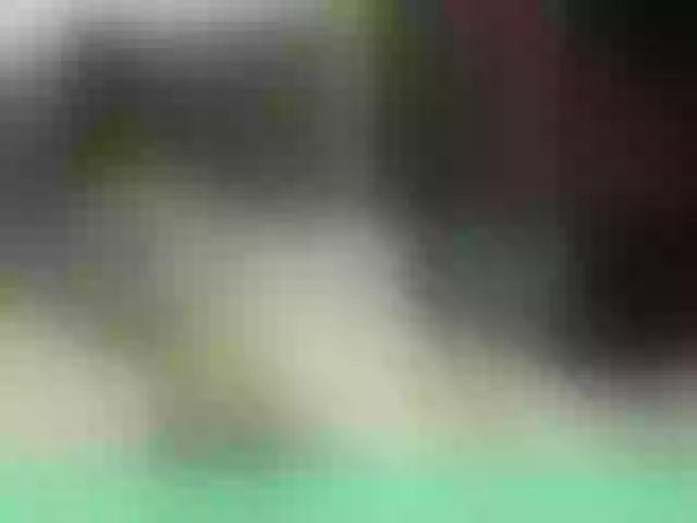Live sex webcam photo for Evelynevi #262563848