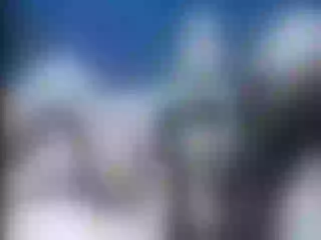 Live sex webcam photo for Ellaquality #260112311