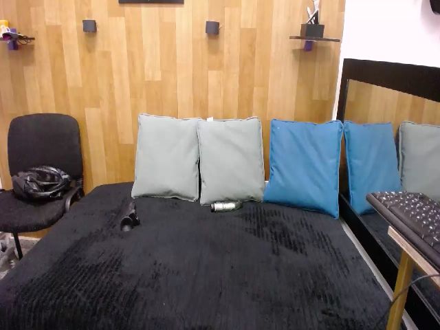 Live sex webcam photo for Tiffany_01 #256071555