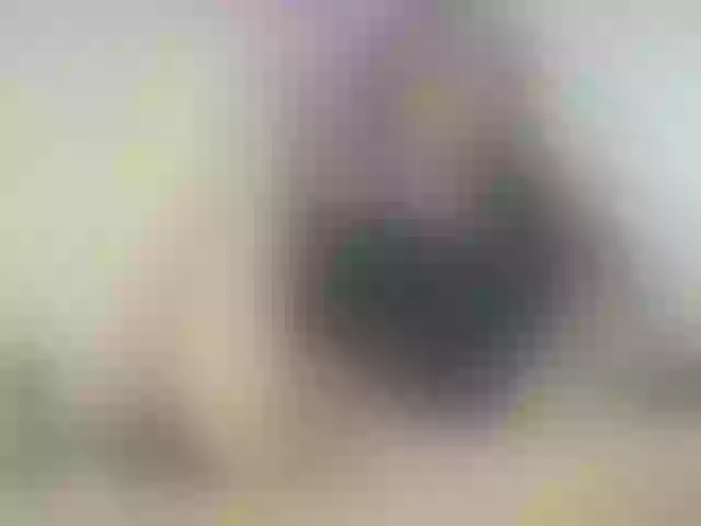 Live sex webcam photo for Dieffenbachia #248396682