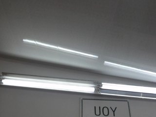 Live sex webcam photo for AMBERLEE #240664845