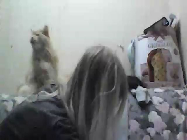 Live sex webcam photo for GuiltyKitty #258821690