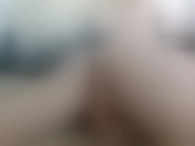 Live sex webcam photo for BitsyMia #253668210