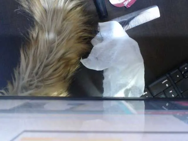 Live sex webcam photo for Candy-Love #250422120