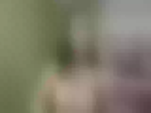 Live sex webcam photo for Evelynevi #253287805