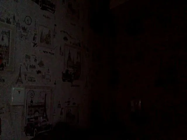Live sex webcam photo for JolyBoss #254556052