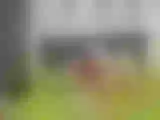 Live sex webcam photo for Hhalaa_ #251826244