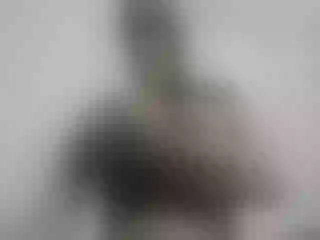 Live sex webcam photo for Lunabigtits #253648371