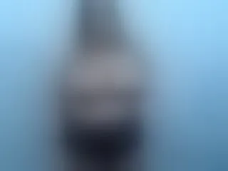 Live sex webcam photo for alison-miller #240872526