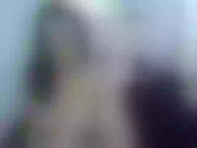 Live sex webcam photo for katyblosss #241168201