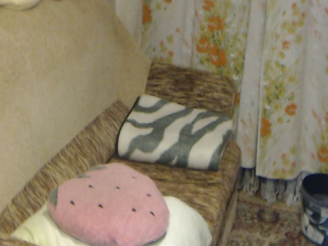 Live sex webcam photo for Olguscha #262723774