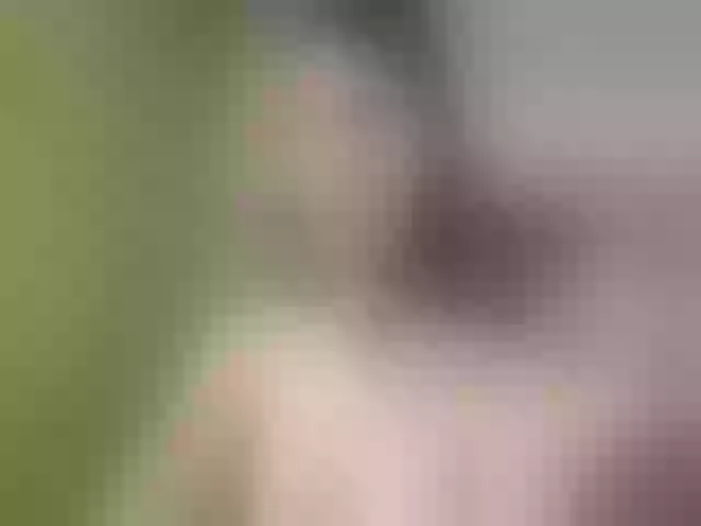 Live sex webcam photo for Evelynevi #252783100