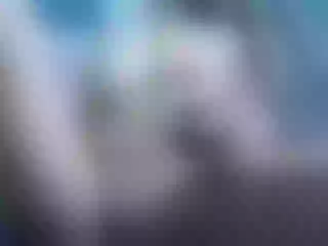 Live sex webcam photo for Paulett #241422660