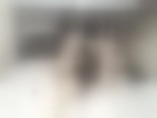 Live sex webcam photo for Nijuuyonjikan #253709857