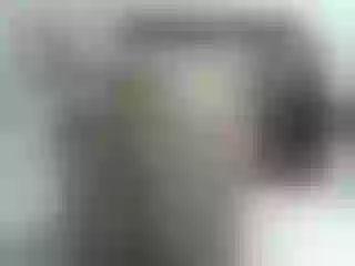 Live sex webcam photo for angiebigtits #251779793