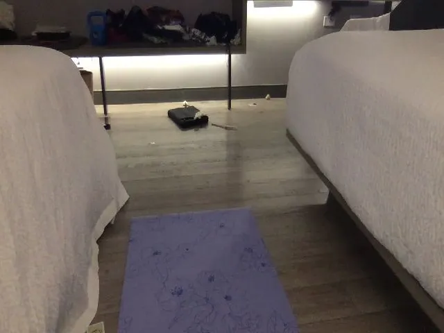 Live sex webcam photo for Ms_Bree #252763461
