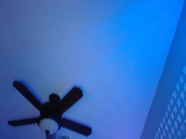 Live sex webcam photo for SinCityVEE #252746776