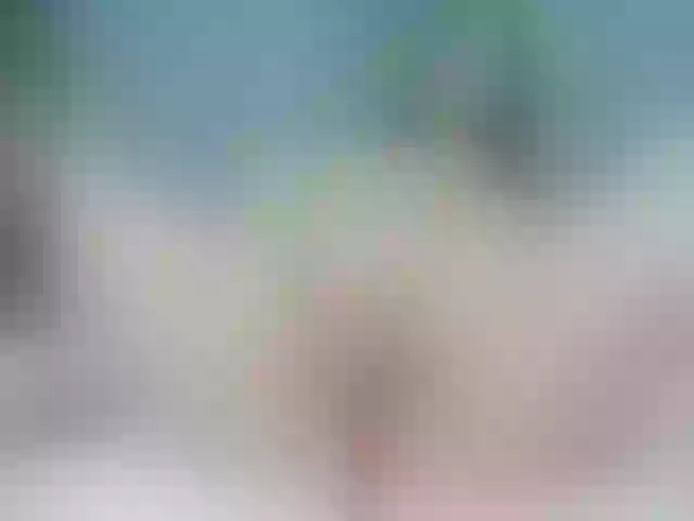 Live sex webcam photo for -Mikami #251173551