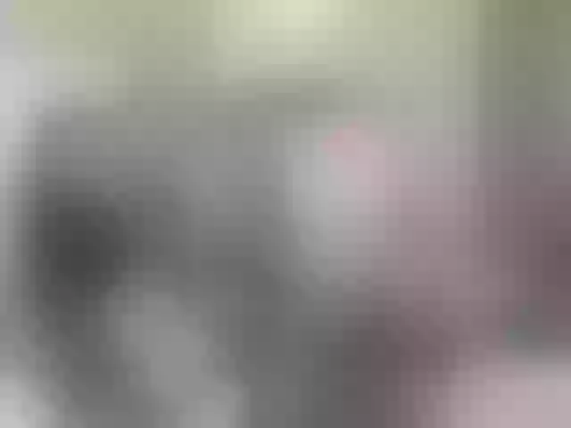Live sex webcam photo for B3llaSwannie #256019177