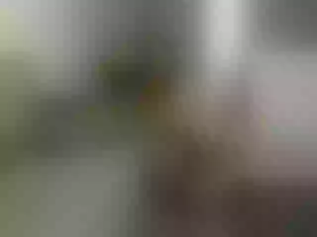 Live sex webcam photo for apple3001 #250768788