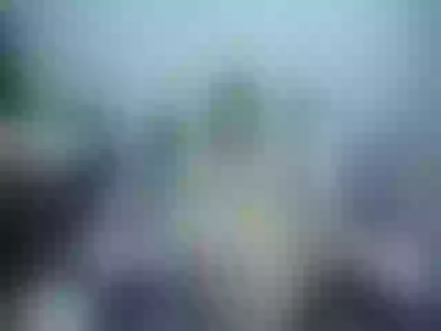 Live sex webcam photo for Girlhornyx20 #255739557