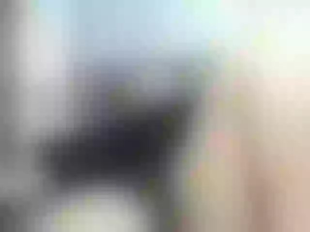 Live sex webcam photo for MeganCoppiano #261529962