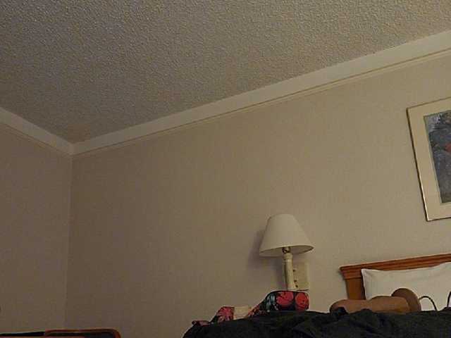 Live sex webcam photo for Prurient-Gem #241088179