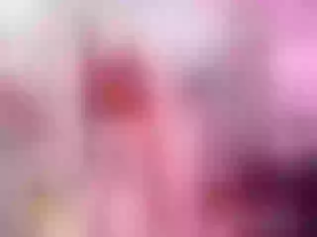 Live sex webcam photo for Medakawai #263600055