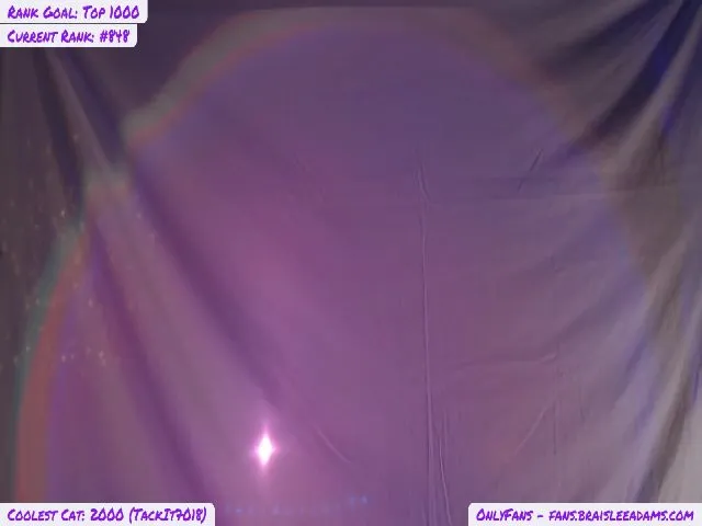 Live sex webcam photo for BraisleeAdams #261874981