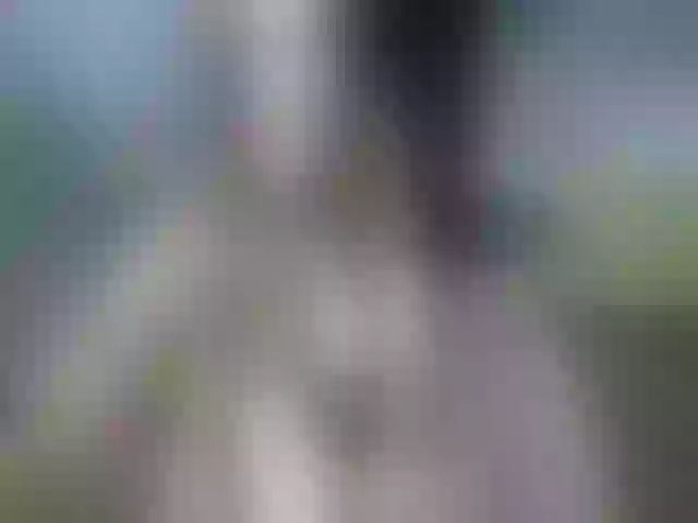 Live sex webcam photo for NikkiKiss_ #262597582