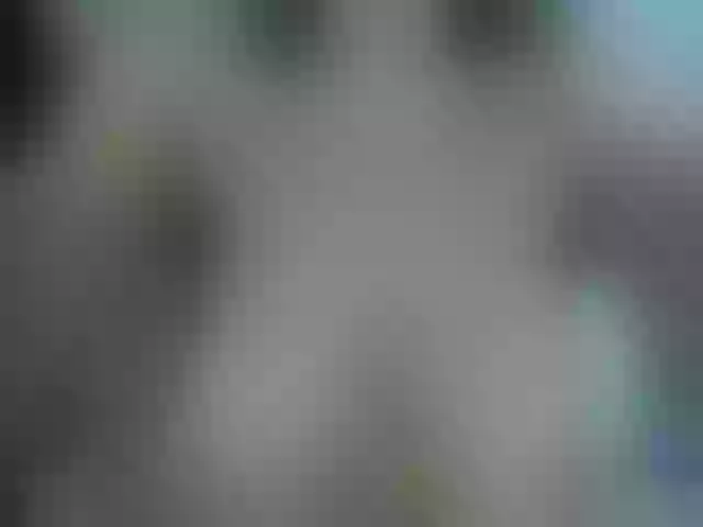 Live sex webcam photo for AnoookTWINS #264016461