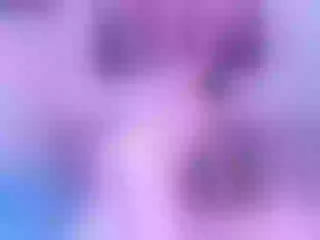 Live sex webcam photo for WhitneyNeal #256867425