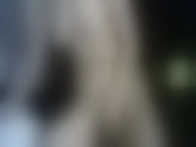 Live sex webcam photo for MyyDream #257067870